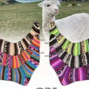 Supersocke 392 Alpaka Color Farbe 3217 grün-gelb-braun