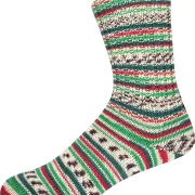 Supersocke Sort. 412 Winter Color 3350, Farbe grün-blau-braun-bunt