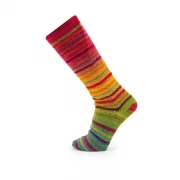 Symmetric socks & more Paradise Farbe 42 braun-rot-schwarz