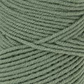 The Basic Farbe 83 mint