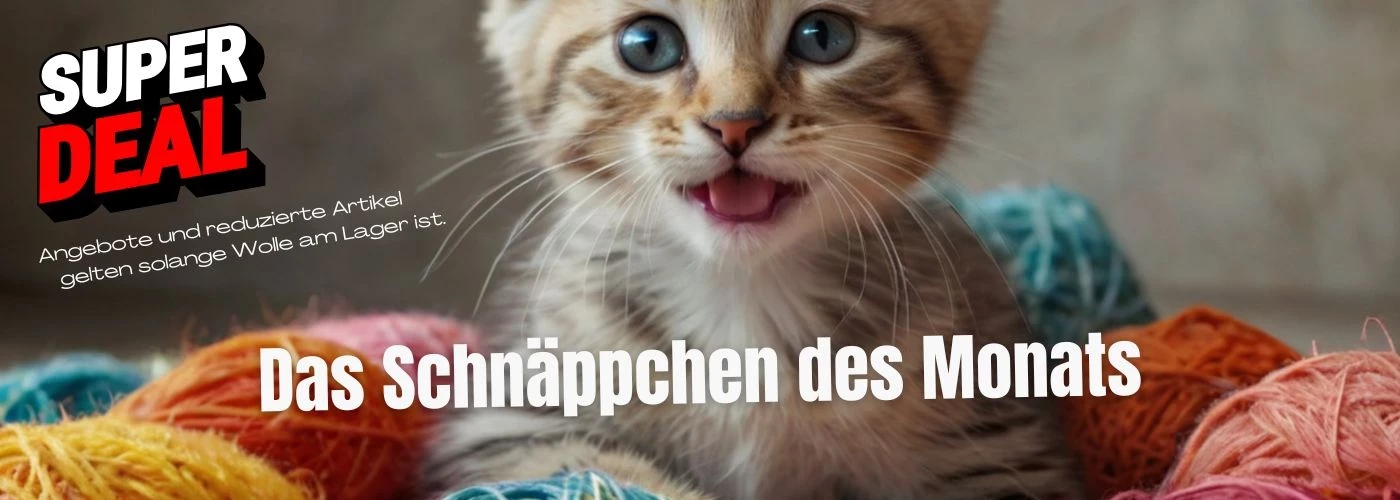 Das Schnäppchen des Monats